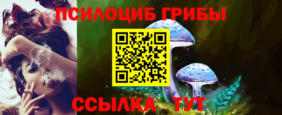 Псилоцибиновые грибы Magic Shrooms Лыткарино